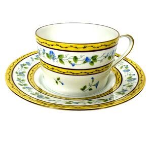 Raynaud Ceralene Limoges Morning Glory Spray Cup and Saucer Set(s)-France-Mint!